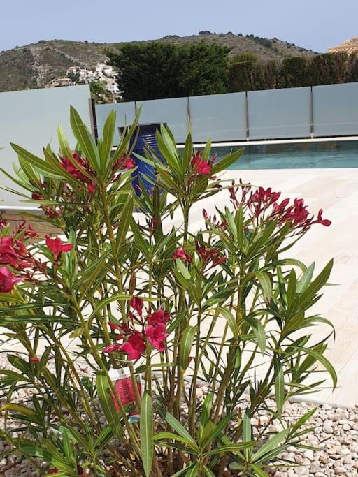 Casa Osimos Portet 450 M مورايرا المظهر الخارجي الصورة